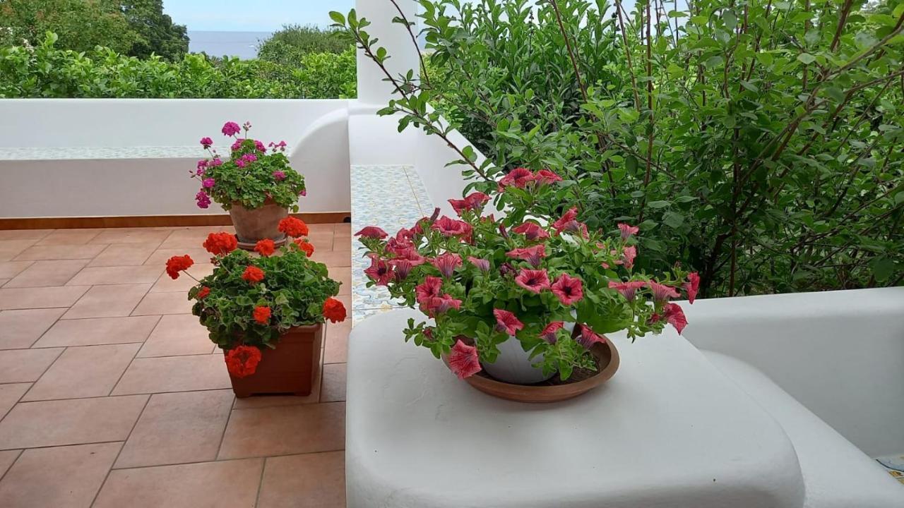 Agriturismo Solemare Stromboli Exterior foto